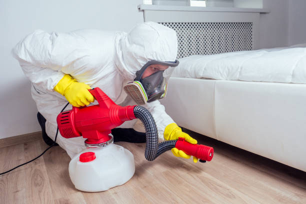 Best Cockroach Control Services  in Ohioville, PA